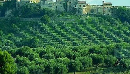 Essence Maremma Toscana - Borgo Magliano Magliano in Toscana